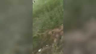 Man Shot In The Head During A Land Dispute