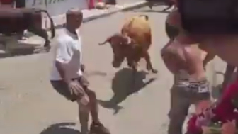 Bull Takes Out A Man During Festival