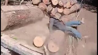 Man Is Crushed By Logs While Unloading them