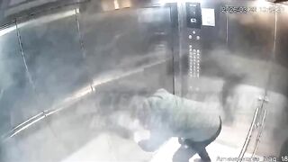 Elevator seriously injures man in Kazan