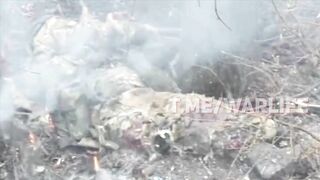 33 dead Russians near Hulyaipole.