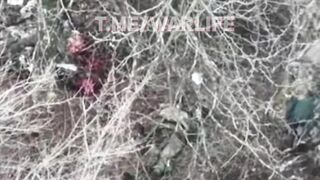 33 dead Russians near Hulyaipole.