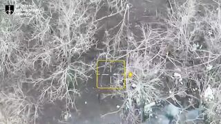 The 33rd Brigade kills Russians.