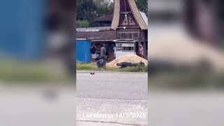 Dude Suffers A Seizure After Motorcycle Accident