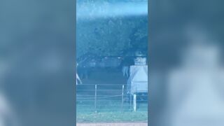 Man Shot Dead During Fight Over A Woman