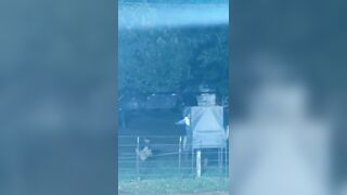 Man Shot Dead During Fight Over A Woman