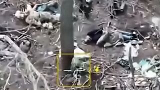 A frustrated Orc sits among the corpses of his comrades