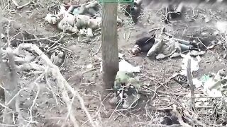 A frustrated Orc sits among the corpses of his comrades