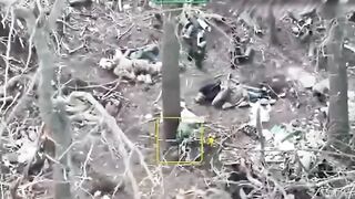 A frustrated Orc sits among the corpses of his comrades
