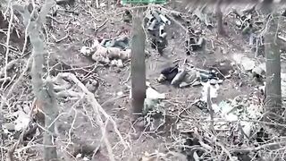 A frustrated Orc sits among the corpses of his comrades