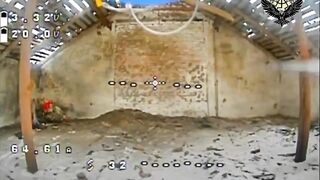 The Blyat Bitch Project: Russian Starring the Wall Turns Dog Food