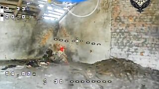 The Blyat Bitch Project: Russian Starring the Wall Turns Dog Food