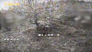 Fenix ​​unit kills Russians.