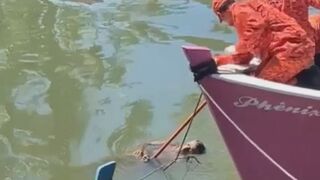 Fishing Day In Brazil