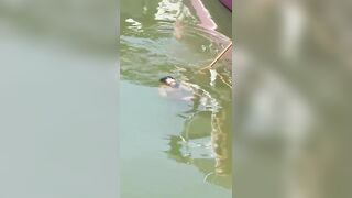 Fishing Day In Brazil