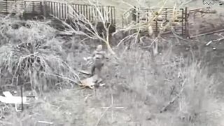 WORMBUSTERS kill Russians