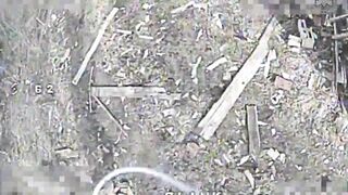 WORMBUSTERS kill Russians