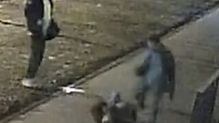 In St. Petersburg, a rapist seriously injured a man