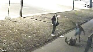 In St. Petersburg, a rapist seriously injured a man
