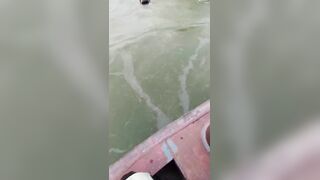 Bus Plunges into River at Daulatdia: 4 Bodies Recovered, 45 Missing