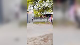 Horse Race Accident In Indonesia