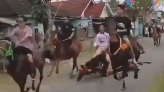 Horse Race Accident In Indonesia