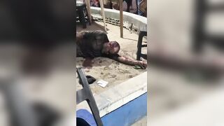 Man Suffers After Being Beaten And Stabbed During A Drunk Fight
