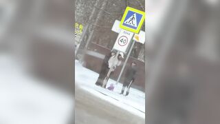 LoL "Bus stop, sex, cold and phlegmatic" (2 angles)