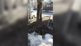 LoL "Bus stop, sex, cold and phlegmatic" (2 angles)