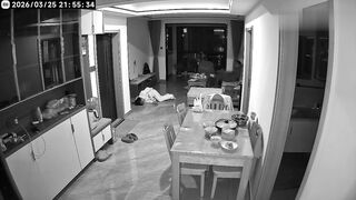Evil Man Assaults Wife, Throws Bottle In Her Head Knocking Her Out