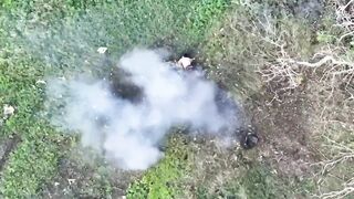 Dead Russians comp (March 26, 2026)