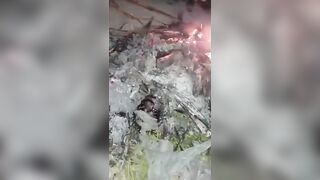 Motorcyclists Catch Thief, Run Him Over, Stone and Burn Him Alive