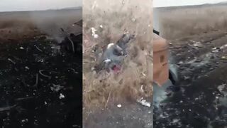 Dead Russhits everywhere