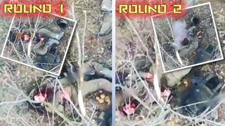 Failed Suicide Hurts. Yet 2nd Try Sends Russian to Hell!