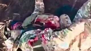 Some "birds" you can't see, hear, and fly at 150 km/h (HQ)