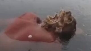 Family Found A Male Body With A Face Eaten By Fish