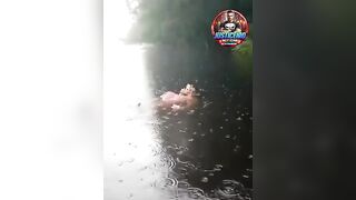Family Found A Male Body With A Face Eaten By Fish