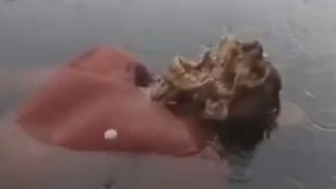Family Found A Male Body With A Face Eaten By Fish