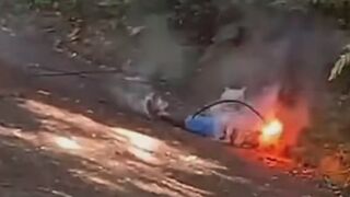 Man Electrocuted By Fallen Live Wire In Jamaica