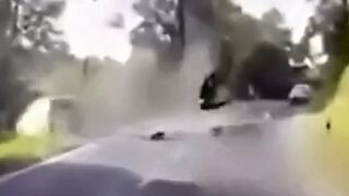 Biker Accident Compilation