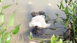 Very Large Dead Women Compilation