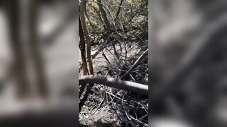 Corpses of UA soldiers in the direction of Pokrovsk
