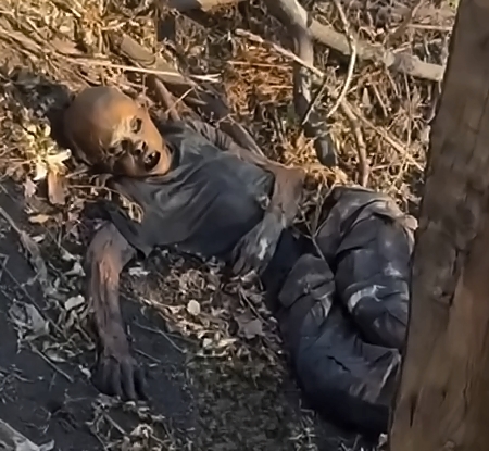 Corpses of UA soldiers in the direction of Pokrovsk