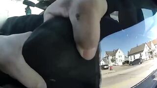 Milwaukee Officer Dragged by Truck Fatally Shoots Suspect with Parole Violation