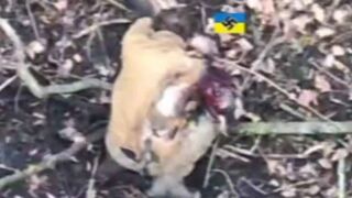 Dead subhumans everywhere.