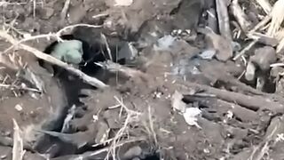 Minced meat after the explosion of the dugout
