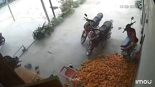 Dude, don't mess around on the road  (compilation)