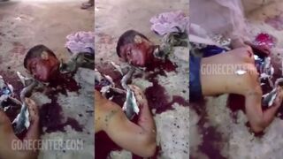 kitty eats corpse