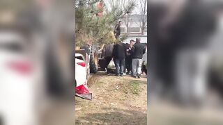 Horror in Beijing: Excavator Turns Into Death Machine and Crushes Market Shoppers