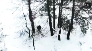 UKRAINE DEATH COMP CXLVI